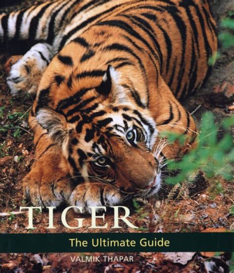 Tiger: The Ultimate Guide | NHBS Academic & Professional Books