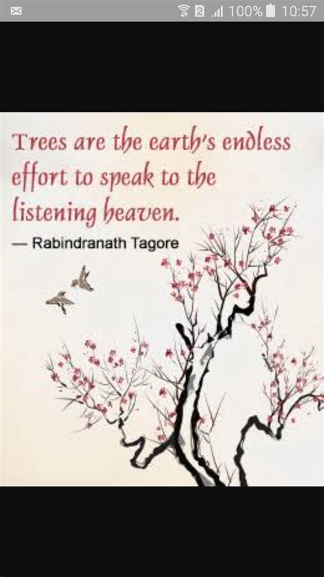 Pin by diane1339 on RABINDRANATH TAGORE | Tagore quotes, Mother nature quotes, Wisdom quotes