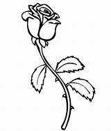 Coloring Pages  Roses sketch template