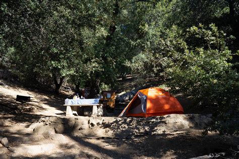 Palomar Mountain Camping Guide 2022 (State Park and National Forest Campgrounds)