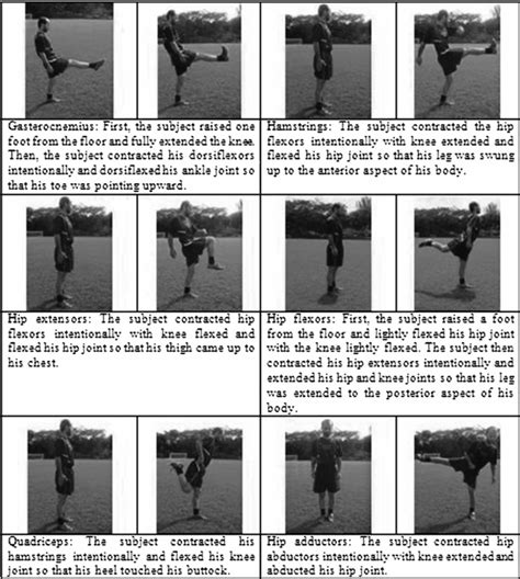 Ballistic Stretching Diagram