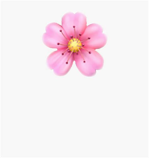 White Flower Bouquet Emoji | Best Flower Site