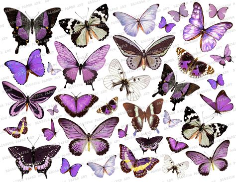 Printable Butterflies Collage Sheet Digital Scrapbooking - Vintage ...