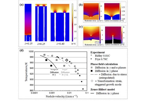 Pearlite formation in Fe-C alloy. a Carbon concentration fields at time... | Download Scientific ...