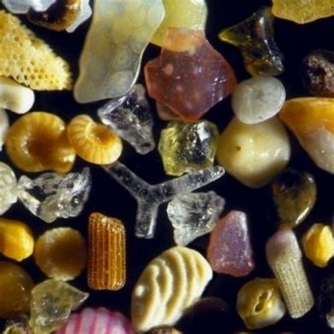 Sand 250x magnification decayedmindboy.tumblr.com | Things under a ...