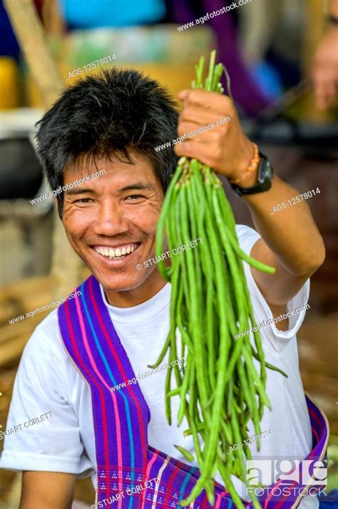Man holding fresh beans; Shan State, Myanmar, Stock Photo, Picture And Rights Managed Image. Pic ...