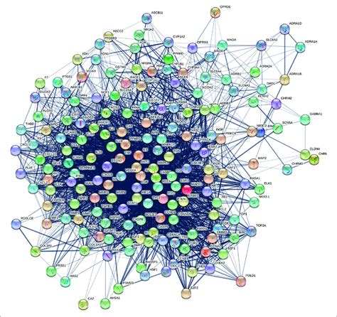 | Protein-protein interaction network. | Download Scientific Diagram