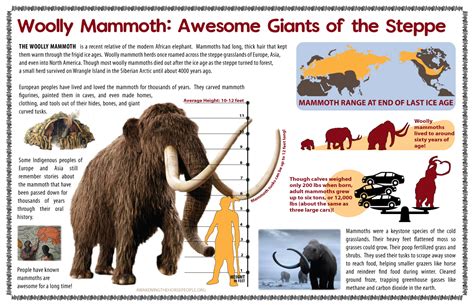 Woolly Mammoth Info-Sheet | Awakening the Horse People