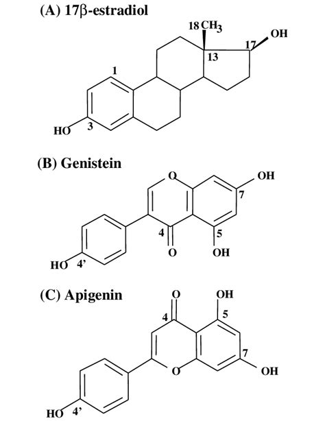 Chemical structure of 17b estradiol (E 2 ) (A), genistein (B) and ...