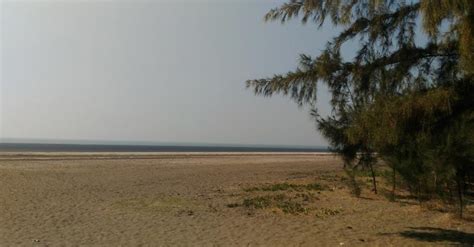 Vihang Vihar Farm, Palghar beach Datiware via Saphale, near Kelwa beach ...