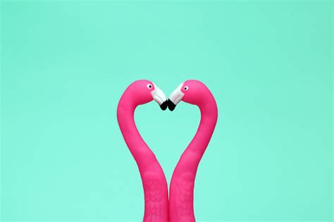 Venus in Cancer May Help Us Find Love this MonthHelloGiggles