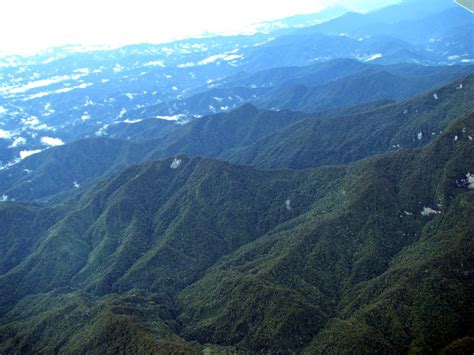 Pesawat Trigana Air yang Hilang Diduga Menabrak Gunung Tangok ...