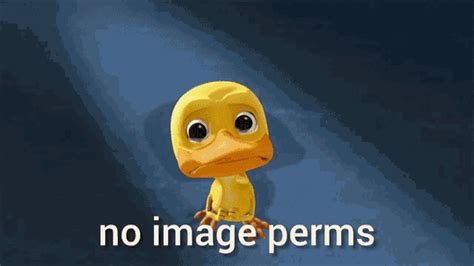 Duck Cry GIF - Duck Cry No - Discover & Share GIFs