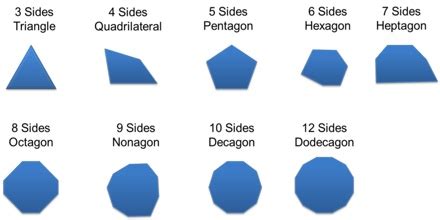 Polygons: Definition and Types - Assignment Point