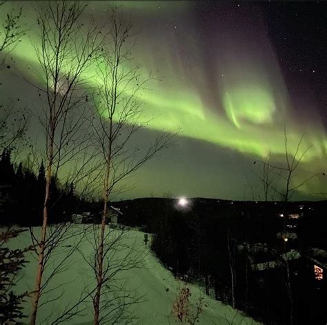 The Aurora Borealis visible from Fairbanks, AK last week. : r/pics