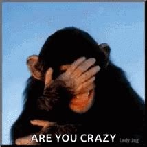 Funny Face Are You Crazy GIF - FunnyFace AreYouCrazy FunnyAnimals - Discover & Share GIFs ...