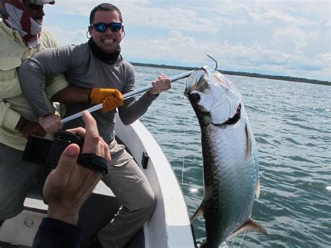 Tarpon Fishing Costa Rica - Book Your World-Class Tarpon Fishing Trip