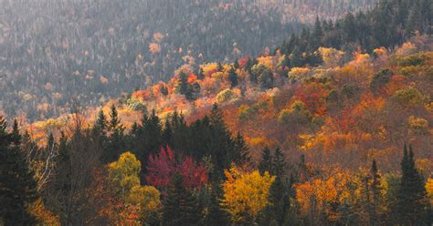 “2023 Adirondacks Fall Foliage Photography Trip,” an article by Dan Mall