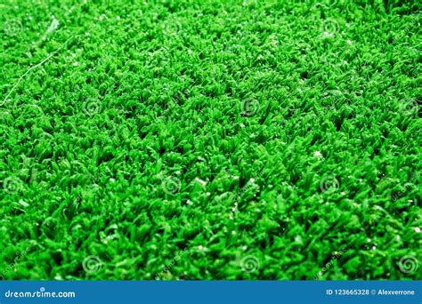 Variety of Artificial Grass or Its Types Stock Photo - Image of types ...