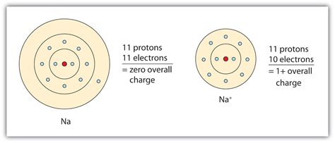 3.2 Ions | The Basics of General, Organic, and Biological Chemistry