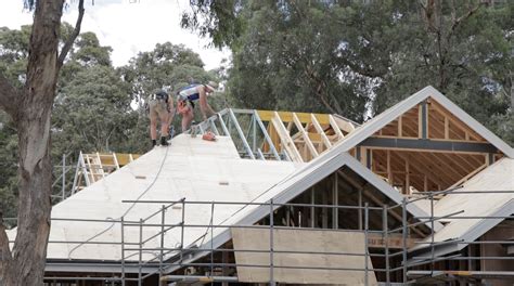 How to Install Plywood Roof Sheathing for the Perfect Roof Shingle ...