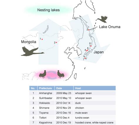 The putative transmission dynamics of H5N1 HPAIV in eastern Eurasia in... | Download Scientific ...