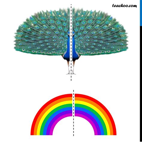 Symmetry in Maths - [Types, Symmetrical Objects, Examples] - Teachoo