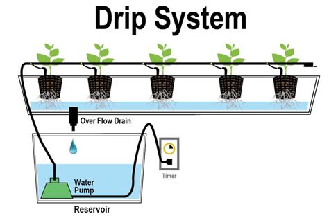 Best Hydroponic Drip System — Updated 2020 | Hidroponik, Irigasi, Aquaponics