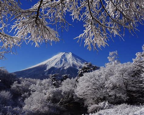 Mount Fuji, japan, snow, ice, trees, winter, landscape, HD wallpaper ...