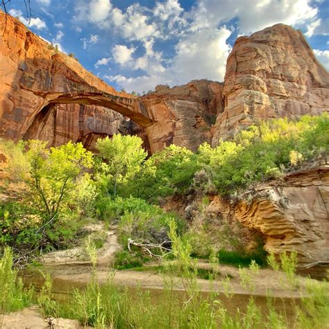 Escalante Petrified Forest | The Dyrt