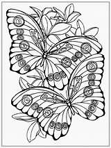Realistic Coloring Pages For Adults At GetColoringscom  Free sketch template