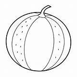 Cantaloupe Vine Coloring Page Images  Free Download On Freepik sketch template