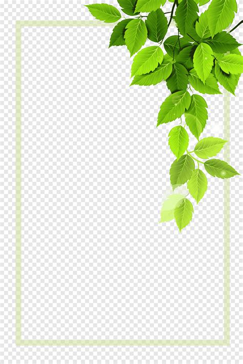 Green leaves, green plant borders, border, angle png | PNGEgg