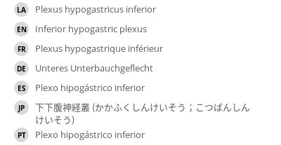 Inferior hypogastric plexus - e-Anatomy - IMAIOS