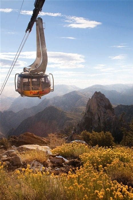 Palm Springs Aerial Tramway Tickets