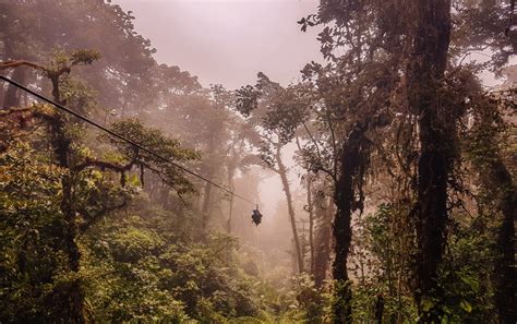 Zip Lining in Monteverde - The Best Places | Ziplining, Monteverde ...