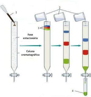 Cromatografia ou Análise Cromatográfica: tipos - Toda Matéria