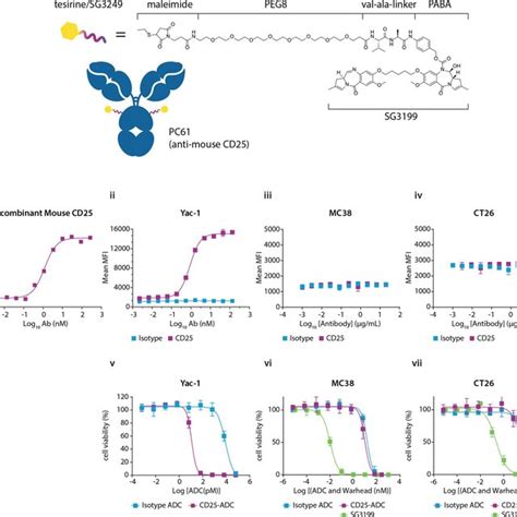 Structure and in vitro characterization of CD25-ADC. (A) Structure and ...