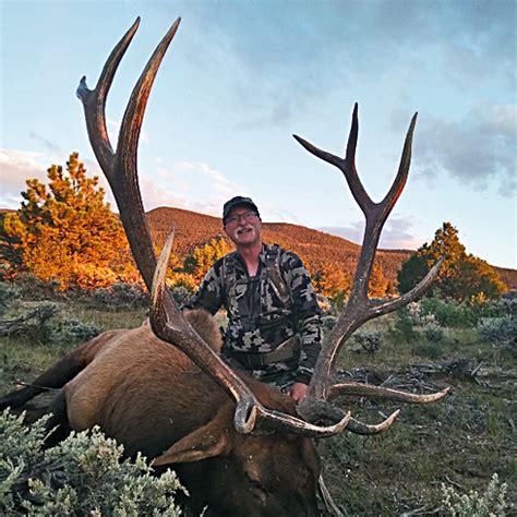 Colorado Bull Elk Hunt - Conservation First USA : Conservation First USA