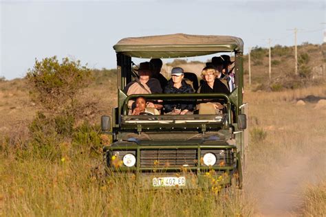 South Africa wine tour: safari photos | BKWine Tours