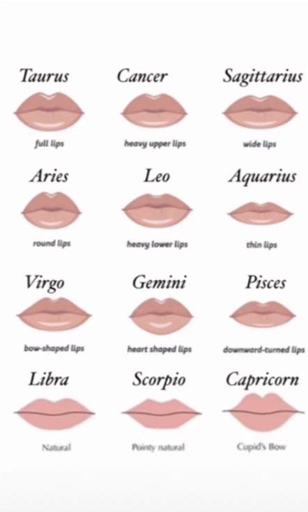 Formas de labios, Tipo de labios, Imagen de labios