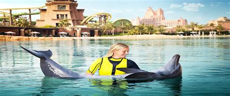 Dolphin Encounter - Atlantis The Palm - Theme Parks