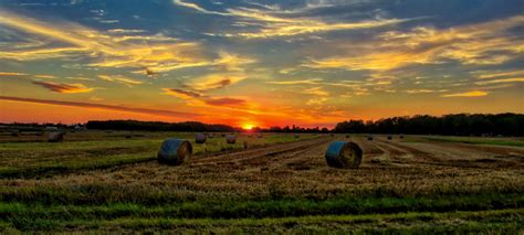 Sunset over the Horizon on the farmland image - Free stock photo - Public Domain photo - CC0 Images