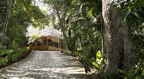 Hotel Jungle Lodge Tikal in Tikal - See 2023 Prices