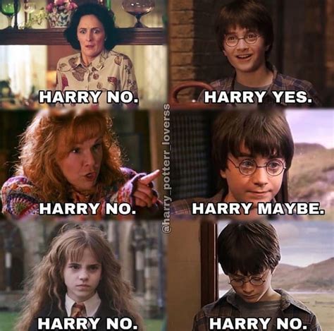 Is there such a thing as a good Harry Potter meme? : r/terriblefandommemes