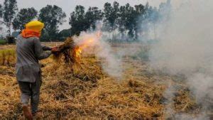 Problems of Stubble Burning: Solutions Galore - Delhi Post