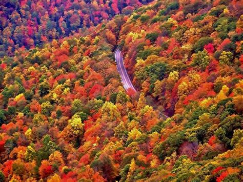 West Virginia fall colors