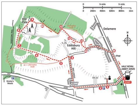 FREE Cheshire Dog Walk: Delamere Forest & Eddisbury Hillfort (4 miles ...