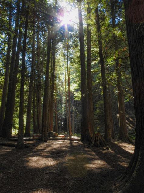 Hiking The Liberty Lake Loop Trail - Explore Washington State