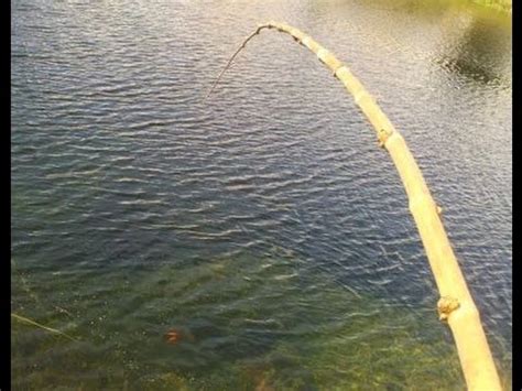 Cane Pole Fishing – Bamboo Rod Guide – All Fishing Gear